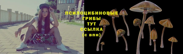 apvp Магадан