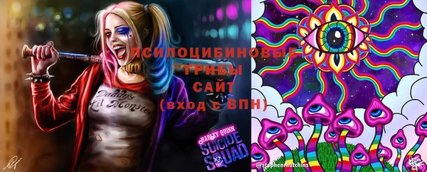 амф Майский
